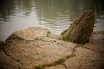 Autumn landscape in the park with yellow-red-green colors.