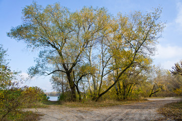 Autumn landscape in the park with yellow-red-green colors.