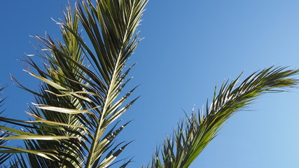 printemps finist&egrave;re bretagne