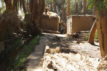 Fototapeta premium Nubian village in Aswan, Egypt