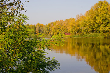 Autumn landscape in the park with yellow-red-green colors.