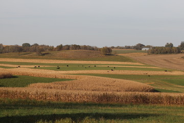 Obraz premium Field Patterns