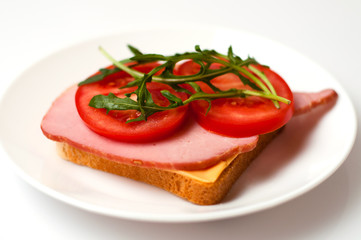 Fototapeta na wymiar Sandwich of balyk, cheese, bread, tomatoes and arugula on a white plate on a plate view from the side