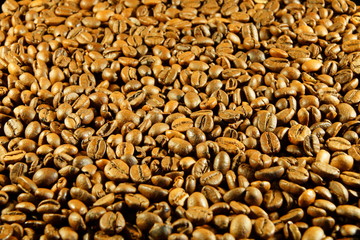 Coffee beans 