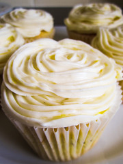 close up of a vanilla cupcake in a white paper case with vanilla butter cream frosting 