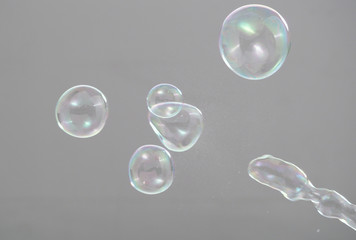 Shampoo bubbles floating like flying in the air by wind blow which represent refreshing playful or joyful moments and gentle soft comfortable and look wet and soapy for hygiene detergent product indus