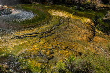 Naklejka premium Waimangu Volcanic Valley, New Zealand
