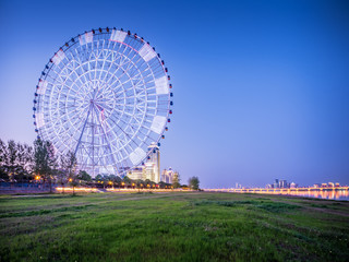 ferris wheel at night in the city