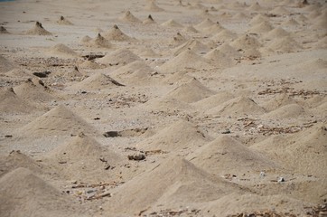 Little sandhills on the beach in Oman