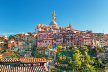 Fototapeta premium Siena - historical medieval town at sunset with view of the Dome & Bell Tower of Siena Cathedral (Duomo di Siena), landmark Mangia Tower and Basilica of San Domenico,Italy