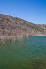 Outdoor blue sky and white dead wood branches