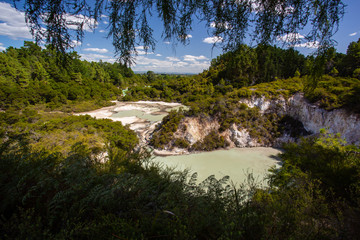 New Zealand, Rotorua, Wai-O-Tapu Thermal Wonderland, Lake Ngakoro