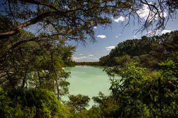New Zealand, Rotorua, Wai-O-Tapu Thermal Wonderland, Lake Ngakoro