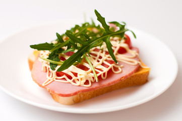 Sandwich of bread for toast, sturgeon, tomatoes, arugula, cheese and mayonnaise on a white plate in a side view