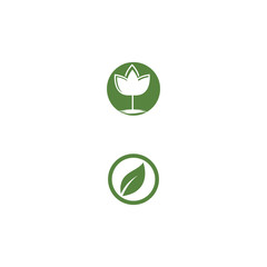 Green garden green leaf Logo Template