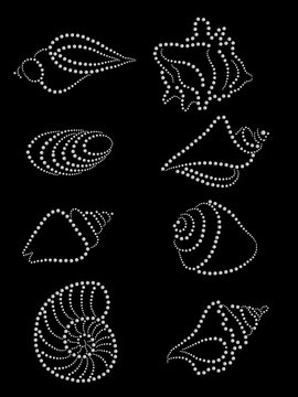 Illustration set diamond sea shell  pattern on black background