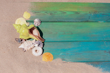 sea ​​shells on a wooden background, top view