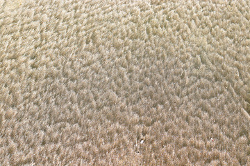 natural texture of sea sand