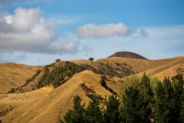 Hills In Arthus Pass, New Zealand