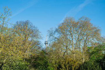 Fernsehturm Düsseldorf mit Blick