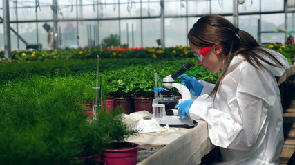 Female scientist is working with a microscope during plant research