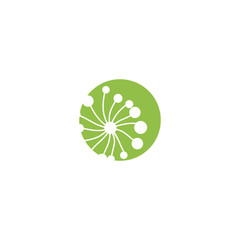 Dandelion Flower Logo Template vector symbol