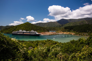 Naklejka premium Queen Charlotte Drive, Marlborough, New Zealand