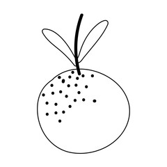 orange fruit citrus isolated icon on white background line style