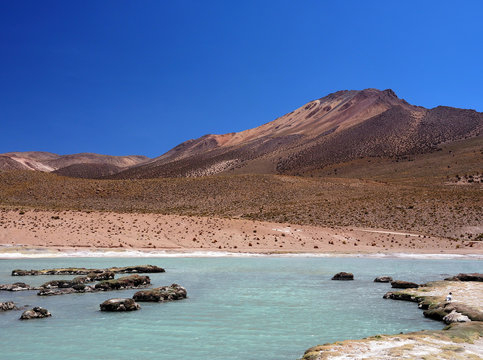 Hot springs of Polloquere. Salar de Surire. Chile.