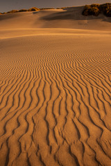 View of the sand dunes near Wharariki Beach at Nelson, New Zealand