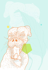 Sly looking Boxer. Detailed illustration, hand drawn, richly textured. 
