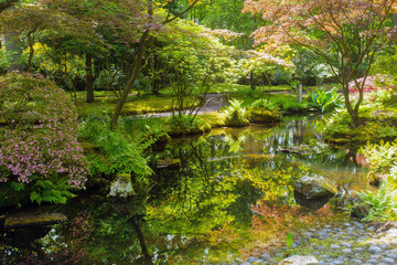 Amazing view on pond  and blossoming nature in japanese garden in the Hague