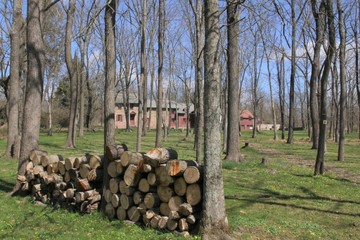 a stack of firewood