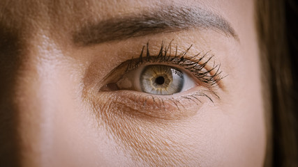Close Up Macro Shot of an Eye. Young Beatiful Female with Opened Eye Showing Her Light Blue, Yellow...