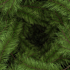 Spruce green branches background with depth effect