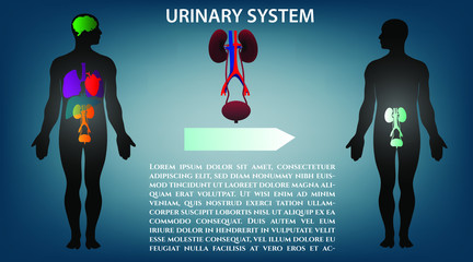 Medical illustration of organ disease. Vector medical infographics.