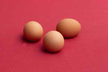 group of eggs