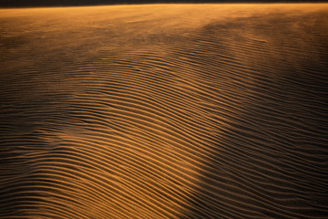 View of the sand dunes near Wharariki Beach at Nelson, New Zealand