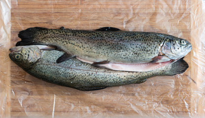 2 Whole rainbow trout fresh from the fishmonger set on transparent foil on the kitchen top