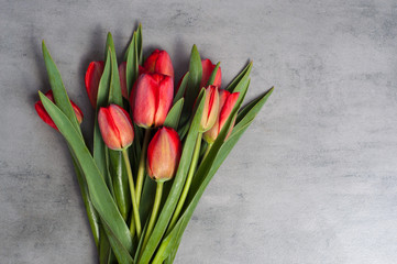 Bouquet of fresh red tulip flowers sitting on dark surface background with copy space