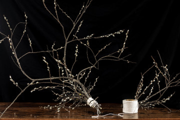 Spring pussywillows still life with a ball of string and a black background.