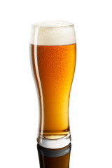 cold beer in glass on white background
