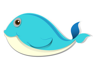 fish on a white background