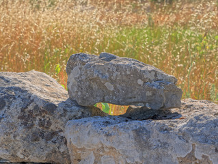 Detail of traditional drywall as a fence of dirt road in Promina county in Croatia. Croatian drywall construction is a protected intangible cultural heritage of humanity by UNESCO.