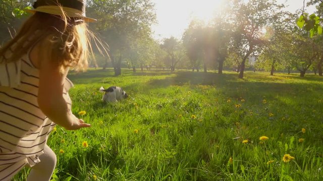 Two wonderful cute girls in dresses running with a dog in the apple tree garden at sunset