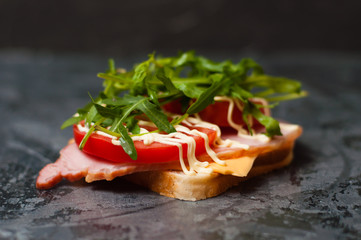 Delicious sandwich with ham and sturgeon, arugula, cheese, tomato and mayonnaise on a gray background side view