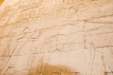 Fototapeta na wymiar Ancient egyptian art. Details from the Ancient Egyptian Civilization.