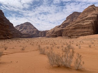 Fototapeta na wymiar desert landscape in the desert Wadi Rum, Jordan