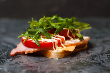 Delicious sandwich with ham and sturgeon, arugula, cheese, tomato and mayonnaise on a gray background side view