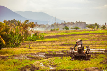Man prepares a field for rice - Bali - Indonesia - Mount Batukaru - sunset
